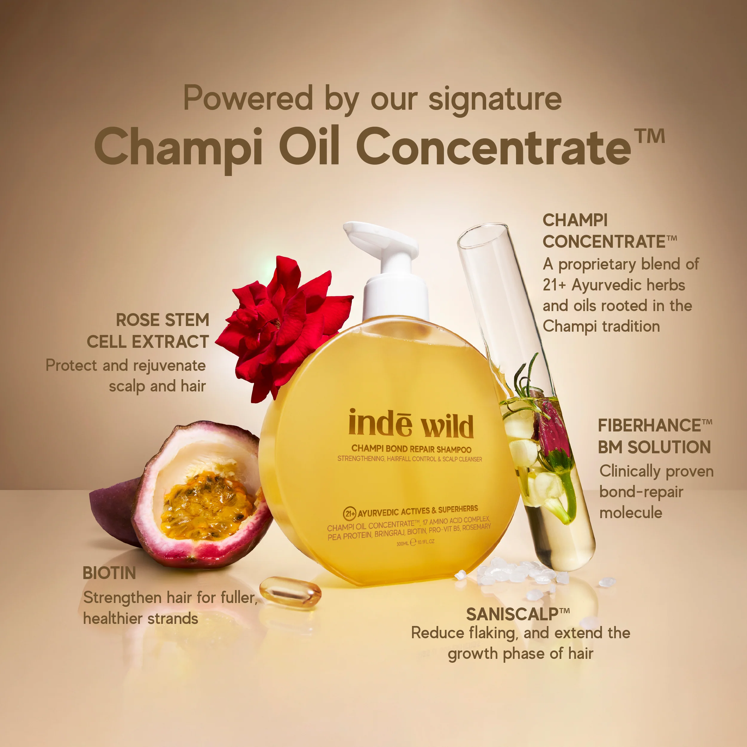 Champi Bond Repair Shampoo - Image 5