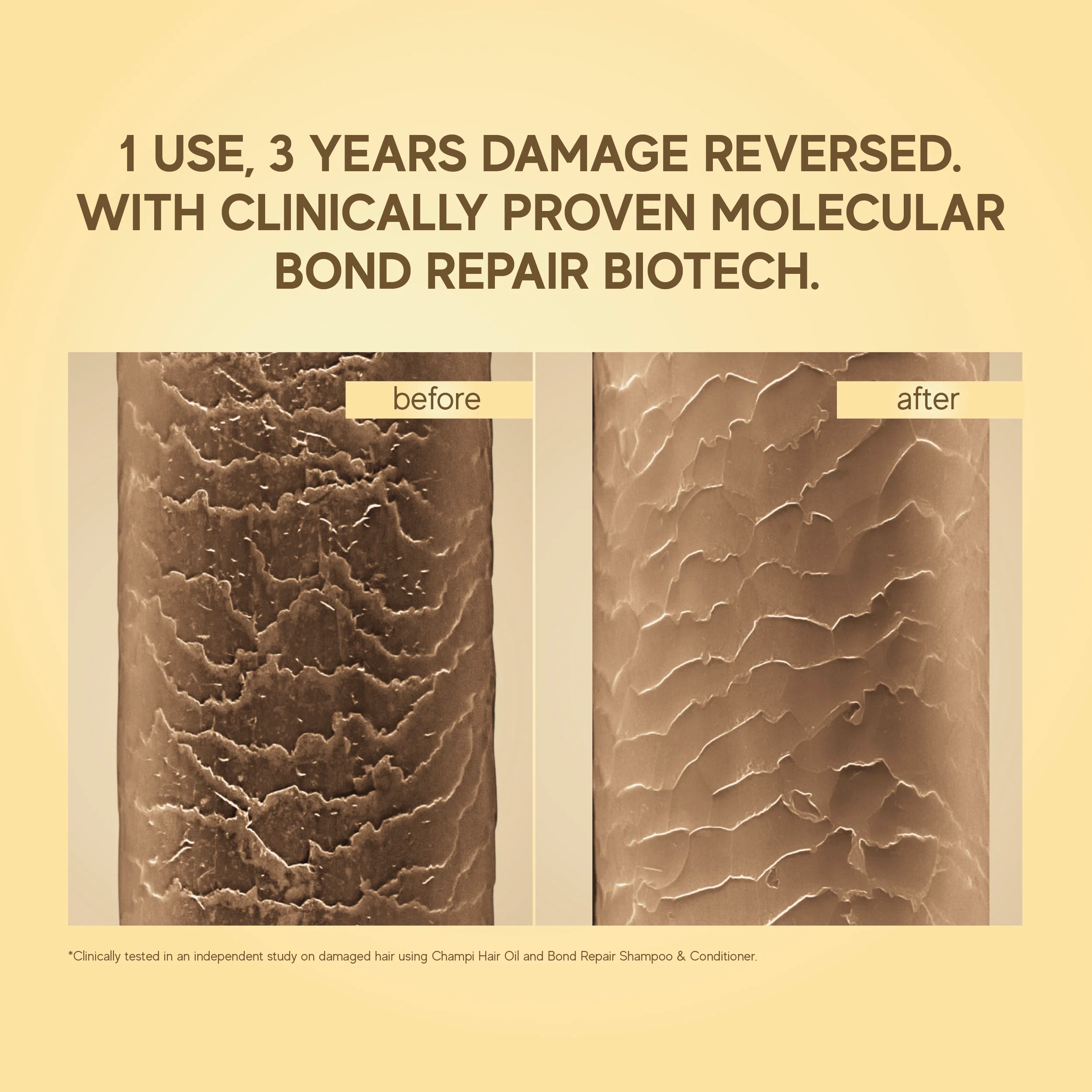 Champi Bond Repair Shampoo - Image 9