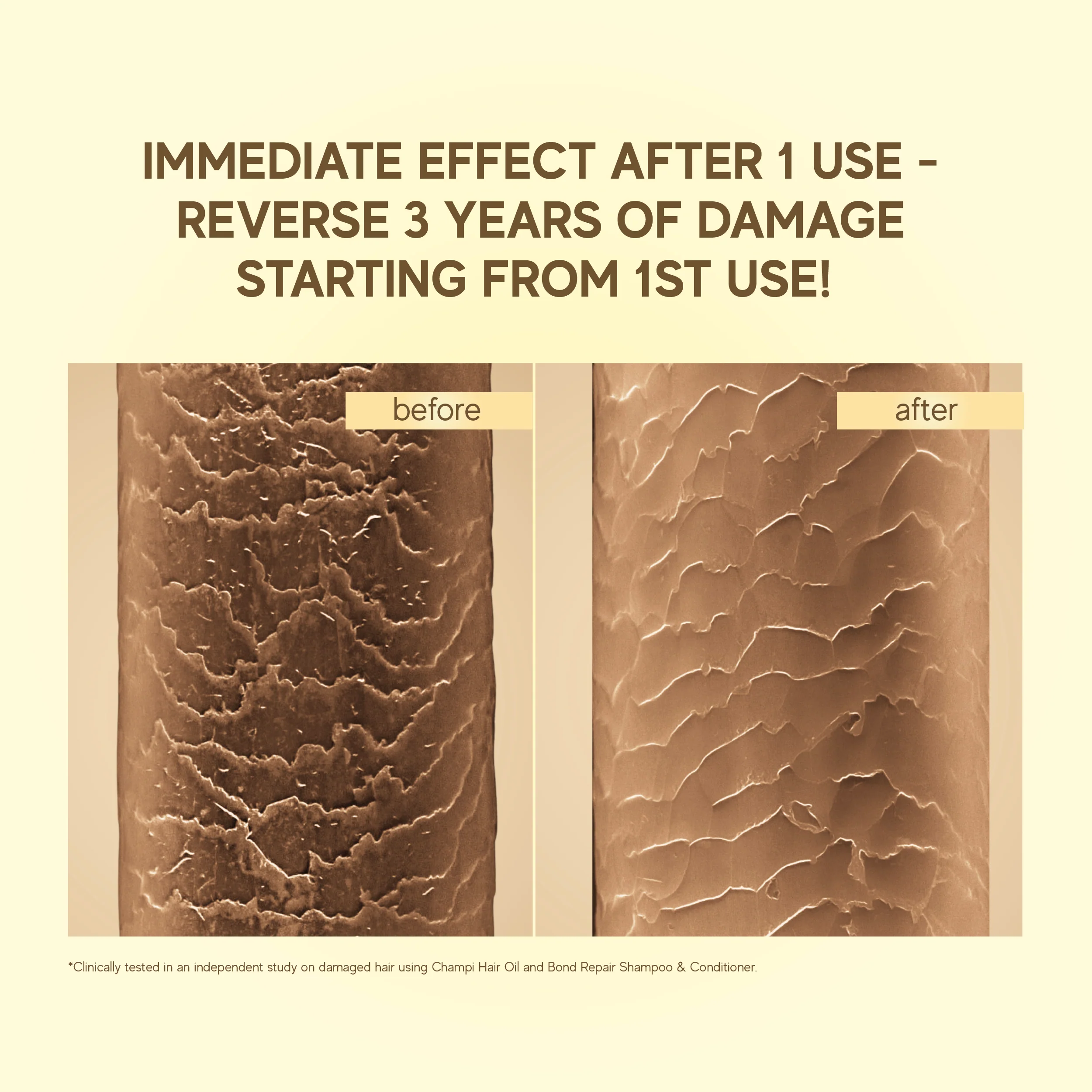 Champi Hair Oil - Image 13